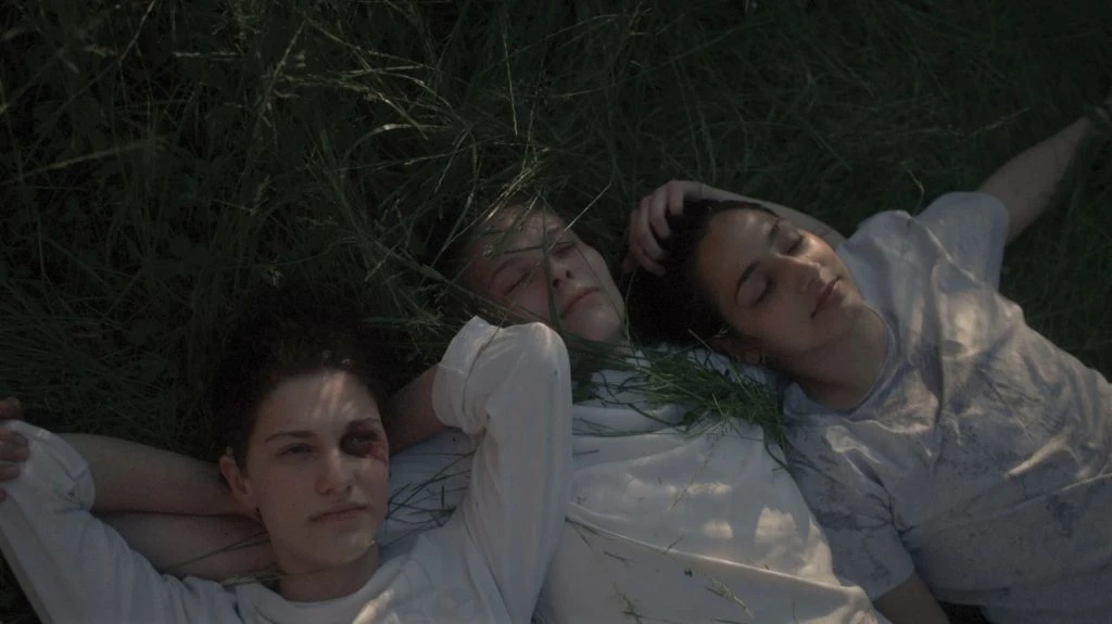 Zdaj Mejno Območ ()je